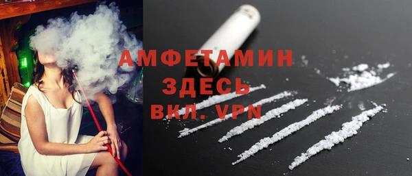 индика Рославль
