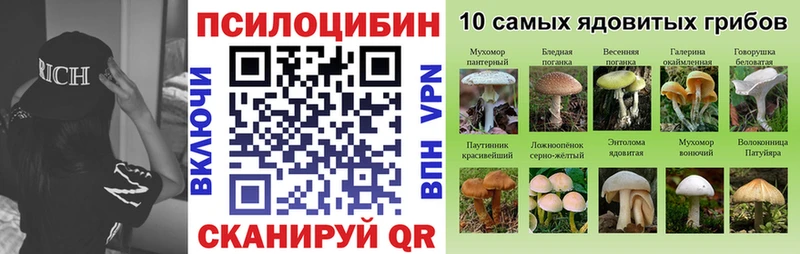 Галлюциногенные грибы мицелий Боровичи